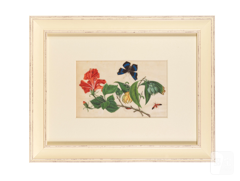 中國畫家 十九世紀 花蝶及果圖一組十二幅 水粉紙本 鏡框 | CHINESE ARTIST (19TH CENTURY) - 图6